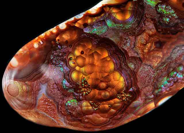 real fire agate