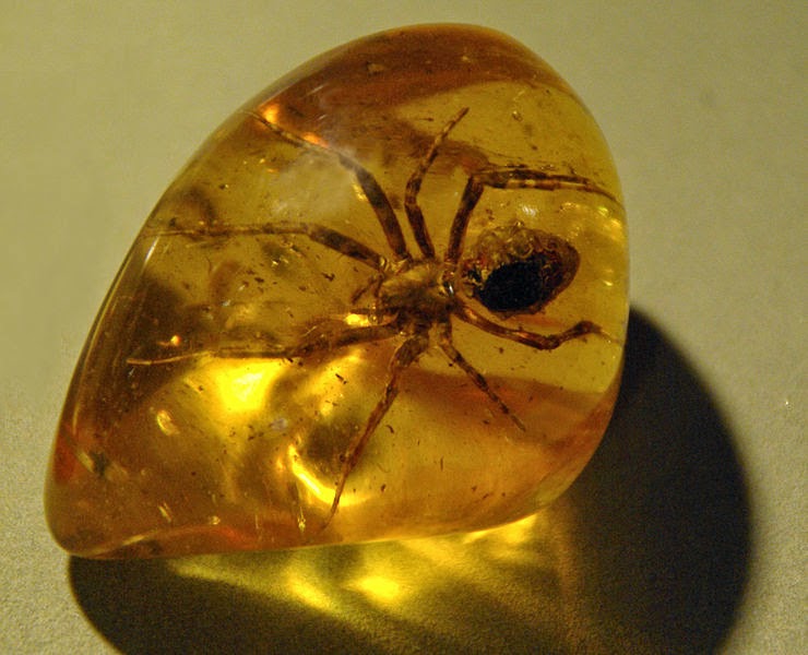 Red Amber - Natural Rare Red Variety of Amber - Geology In