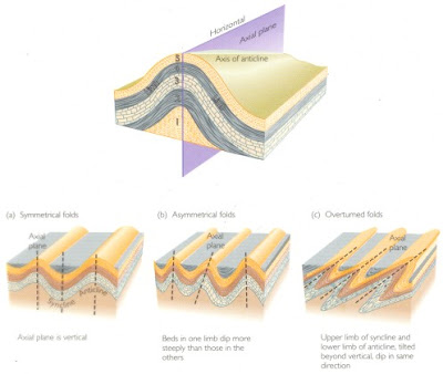 types of folds geology