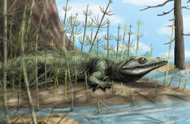 Paleontologists Discover 250-million-year-old New Species Of Reptile In ...