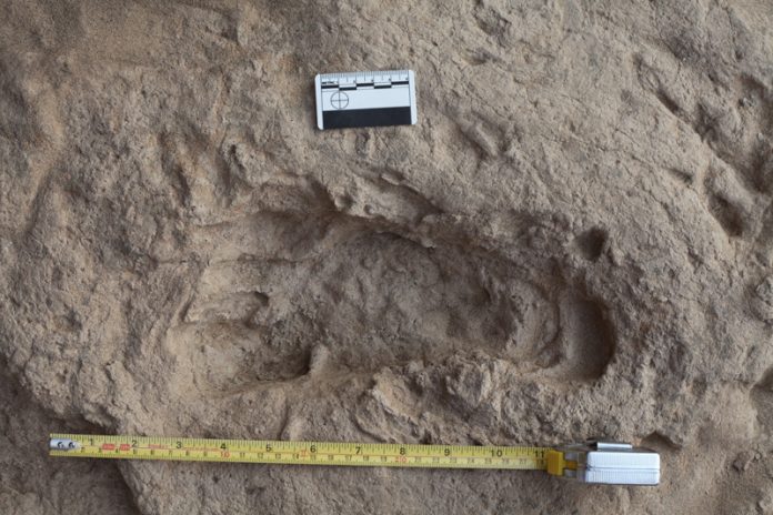 1.5-million-year-old Footprints: Homo Erectus Walked As We Do | Geology ...