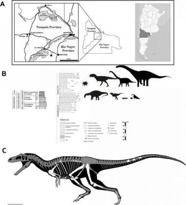 new theropod dinosaur