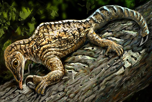 Ancient reptile fossils claw for more attention | Geology Page