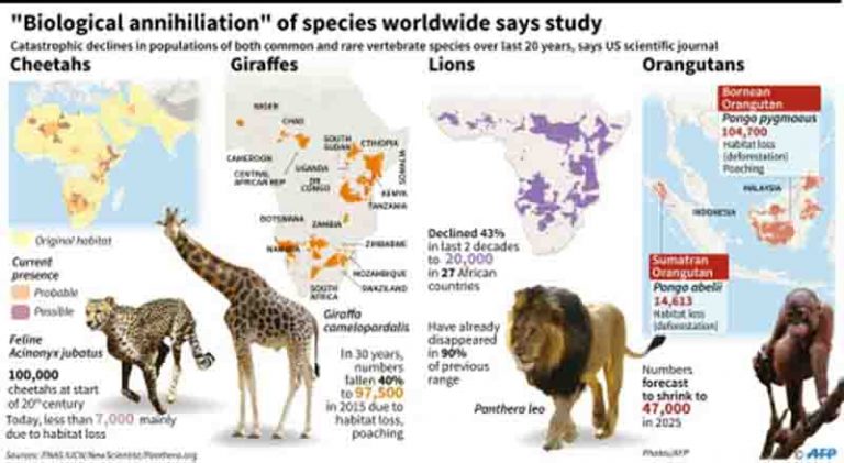 earth-s-major-mass-extinction-events-geology-page