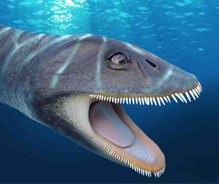 water dinosaur plesiosaur