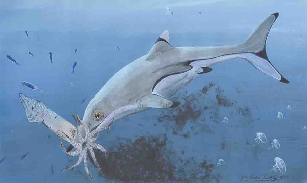 Prehistoric squid was last meal of newborn ichthyosaur 200 million ...