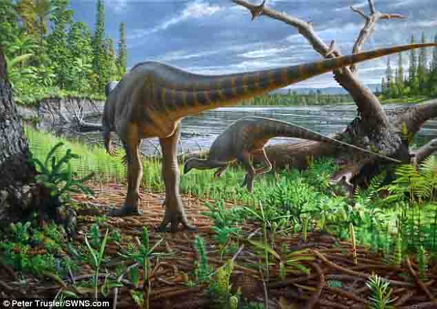 A new species of turkey-sized dinosaur is discovered from Australia ...