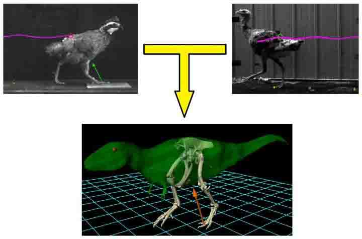 bipedal dinosaurs list