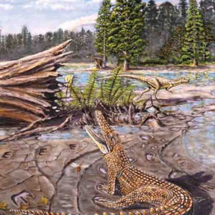 Cretaceous croc had steamy past | Geology Page