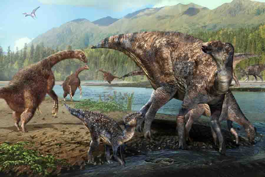 First North American Co-occurrence Of Hadrosaur And Therizinosaur 