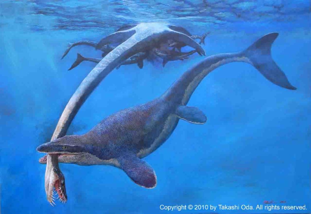 Did mosasaurs hunt like killer whales? | Geology Page