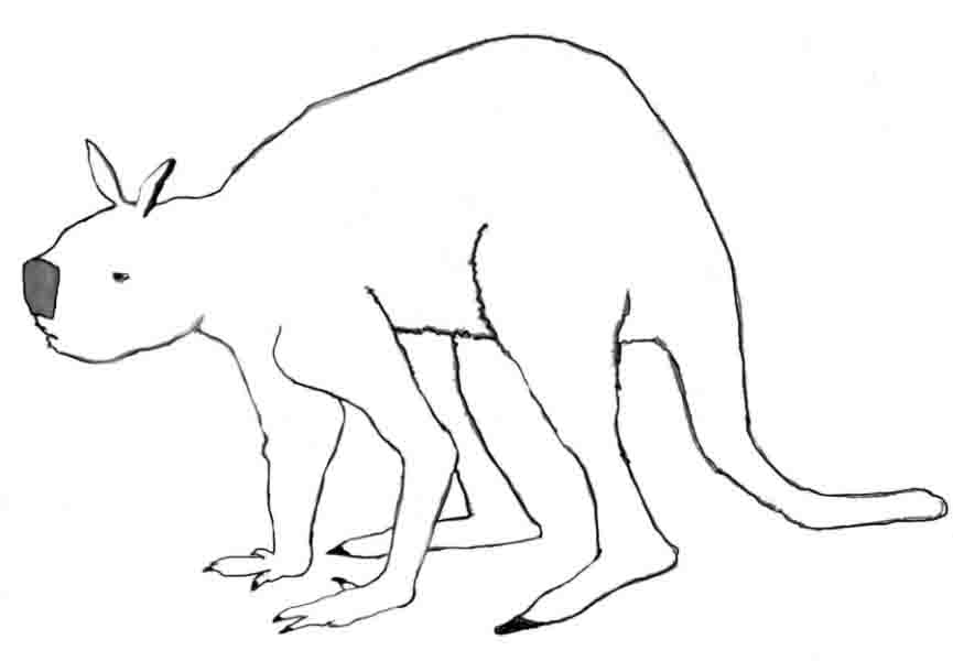 prehistoric kangaroo