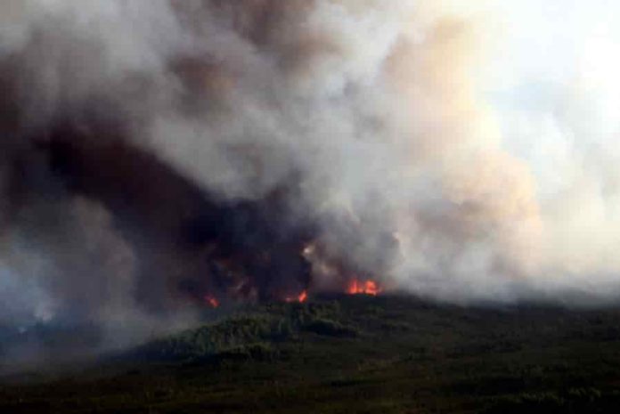 Alaska forest fires over past 450 years | Geology Page