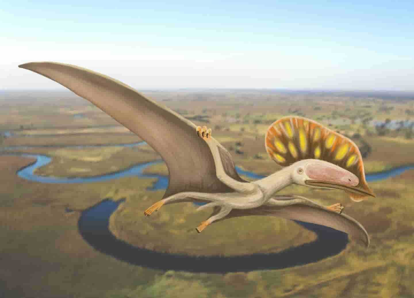 large pterosaurs