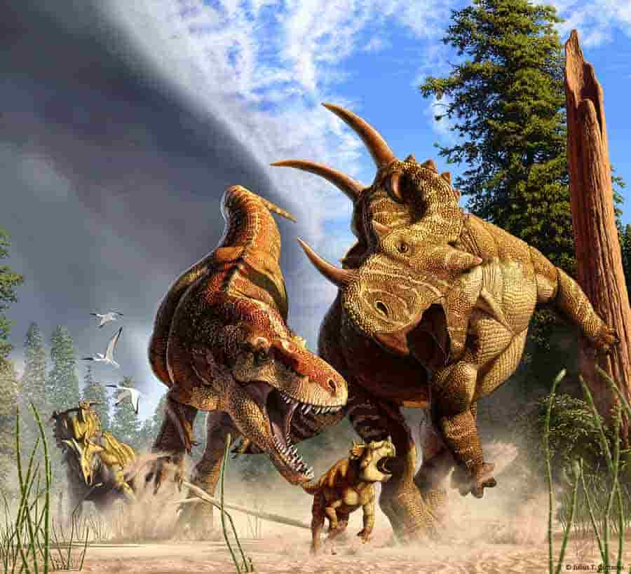 T. rex's long legs were made for marathon walking | Geology Page