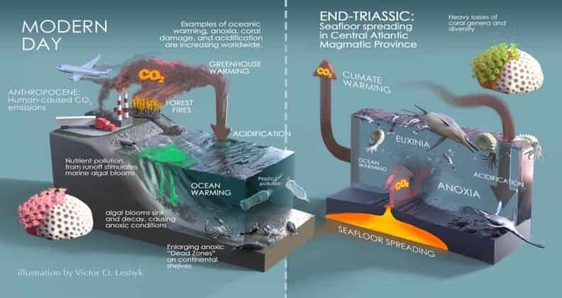 New Placement For One Of Earth's Largest Mass Extinction Events ...