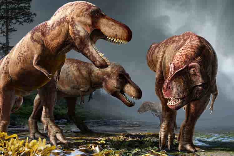 Paleontologists Stunning Conclusion: 2.5 Billion T. Rexes Roamed North  America Over the Cretaceous Period
