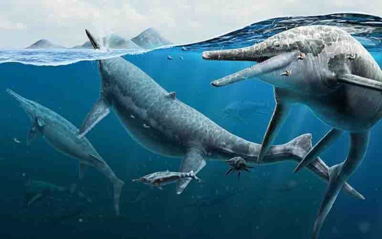 Giant extinct marine reptile graveyard was likely ancient birthing ...