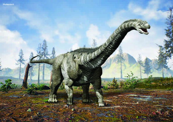 What was the largest dinosaurs? | Geology Page