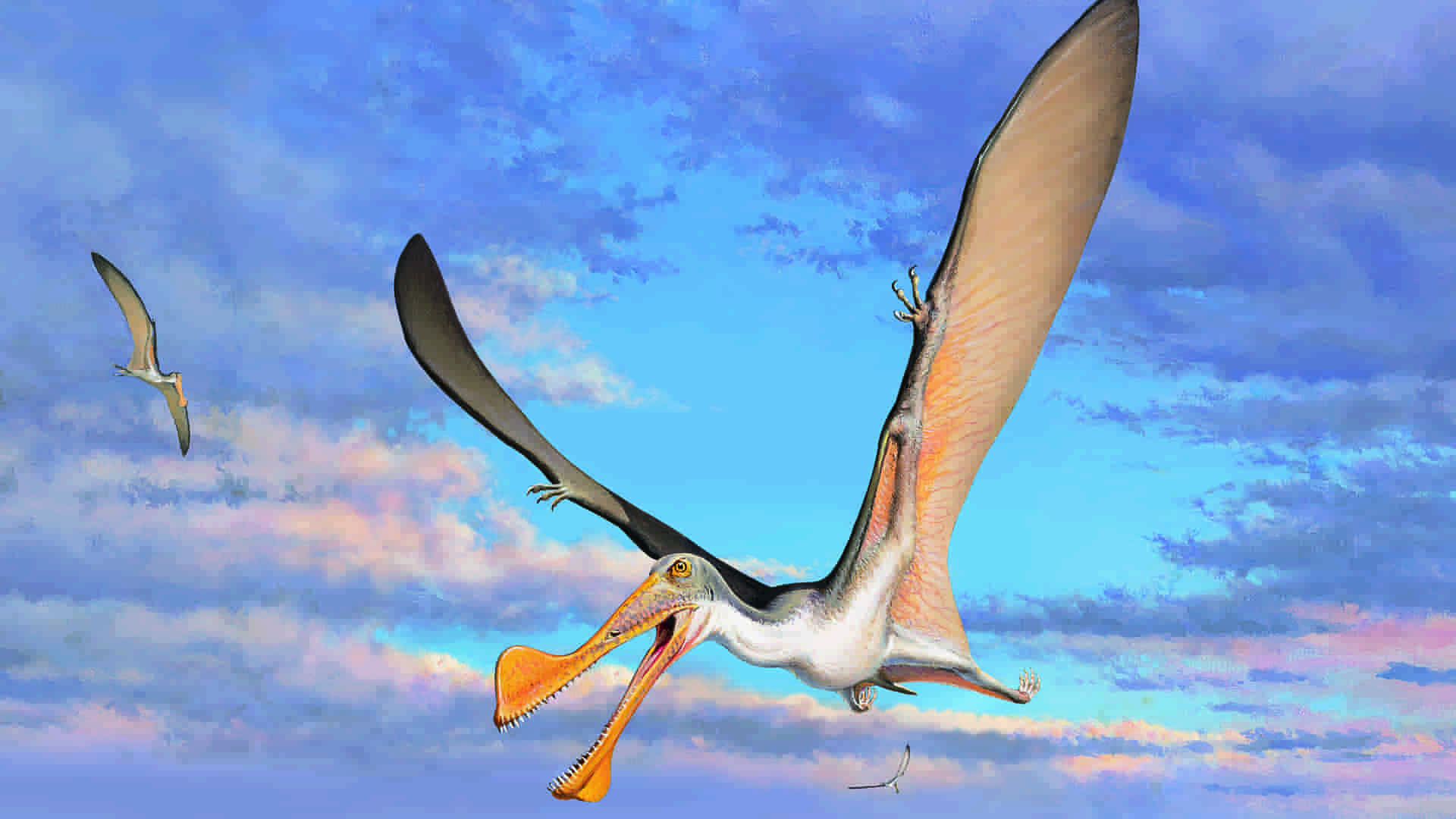 107 Million Year Old Pterosaur Bones Discovered In Australia Geology Page