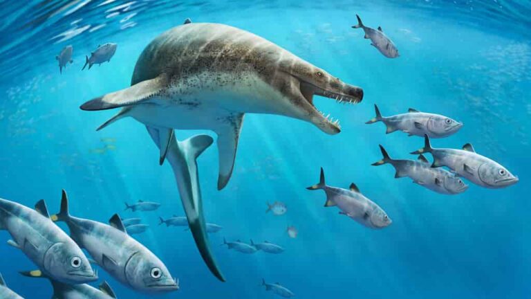 Fossils of giant sea lizard with dagger-like teeth show how our oceans ...