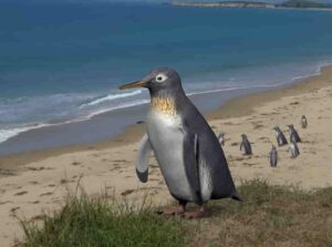 A reconstructed image of Pakudyptes at a New Zealand coast. PHOTO: Tatsuya Shinmura & Ashoro Museum of Paleontology