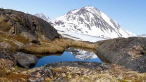 A rocky landscape with tundra plants near the eastern coast of Greenland, similar to what the interior of the island may have looked like when its massive ice sheet melted away. (Photo: Joshua Brown)