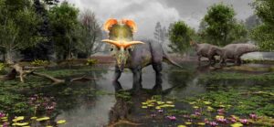 Reconstruction of Lokiceratops in the 78-million-year-old swamps of northern Montana, as two Probrachylophosaurus move past in the background. Artwork by Fabrizio Lavezzi © Evolutionsmuseet, Knuthenborg