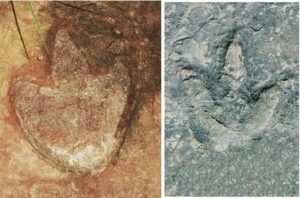 L. Theropod footprint from Sousa Basin, Lower Cretaceous of Northeastern Brazil. Credit: Ismar de Souza Carvalho. R. Theropod tracks from the Koum Basin in Cameroon. Credit: SMU.