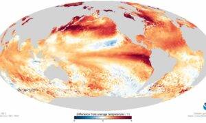 The August 2023 El Nino, as mapped from space. The huge mass of warm water against the coast of Ecuador and Peru exerts global influence on weather patterns. (Image: NOAA)