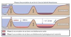 The two accumulation phases of the Mediterranean salt layer during the Messinian Salinity Crisis. In the first phase, salt accumulated in a Mediterranean Basin filled with brine; in the second phase, salt accumulated in a Mediterranean completely isolated from the Atlantic Ocean, as a result of the significant drop in sea level in the western and eastern Mediterranean sub-basins. © Giovanni Aloisi