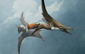 Life restoration of two Skiphosoura bavarica in flight. Credit: Gabriel Ugueto.