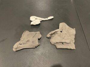 A 3D-printed model of the Parasaurolophus skulls at a 1:3 scale to the original fossil. The white model is the nasal passages inside the skull. Credit: Hongjun Lin