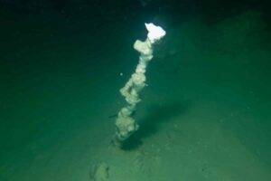 An individual submarine chimney at a depth of roughly 30 m.Photo: UFZ