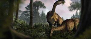 The researchers have chosen to understand the biology of early dinosaurs based on their dietary preferences. 