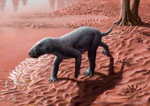 Reconstruction of the appearance in life of a gorgonopsian in a floodplain of the Permian of Mallorca. Credit: Henry Sutherland Sharpe