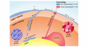 Schematic representation of the process of subduction of tectonic plates and of a mantle plume rising from an LLSVP. In the latter, the mineral grains are larger than those in the subducted plates. 